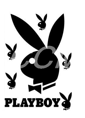 Playboy Vinyl Stencils