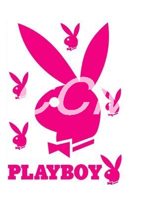 Playboy Vinyl Stencils
